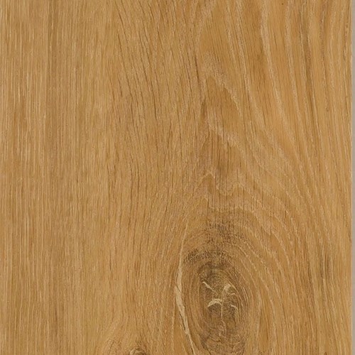 _0017_xpertpro espc kork natural oak